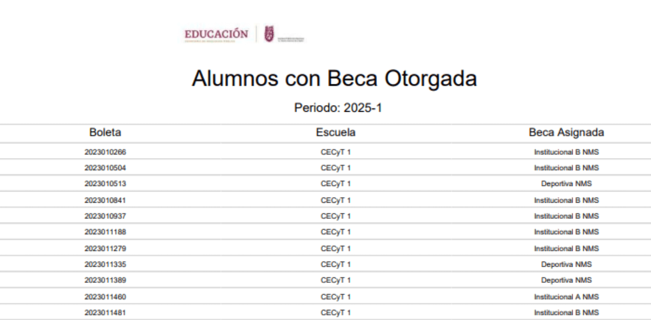 Resultados de las Becas IPN 2024-2025