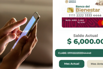 Cómo checar el saldo de mi Tarjeta Bienestar por internet
