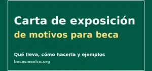 Carta de exposición de motivos para beca